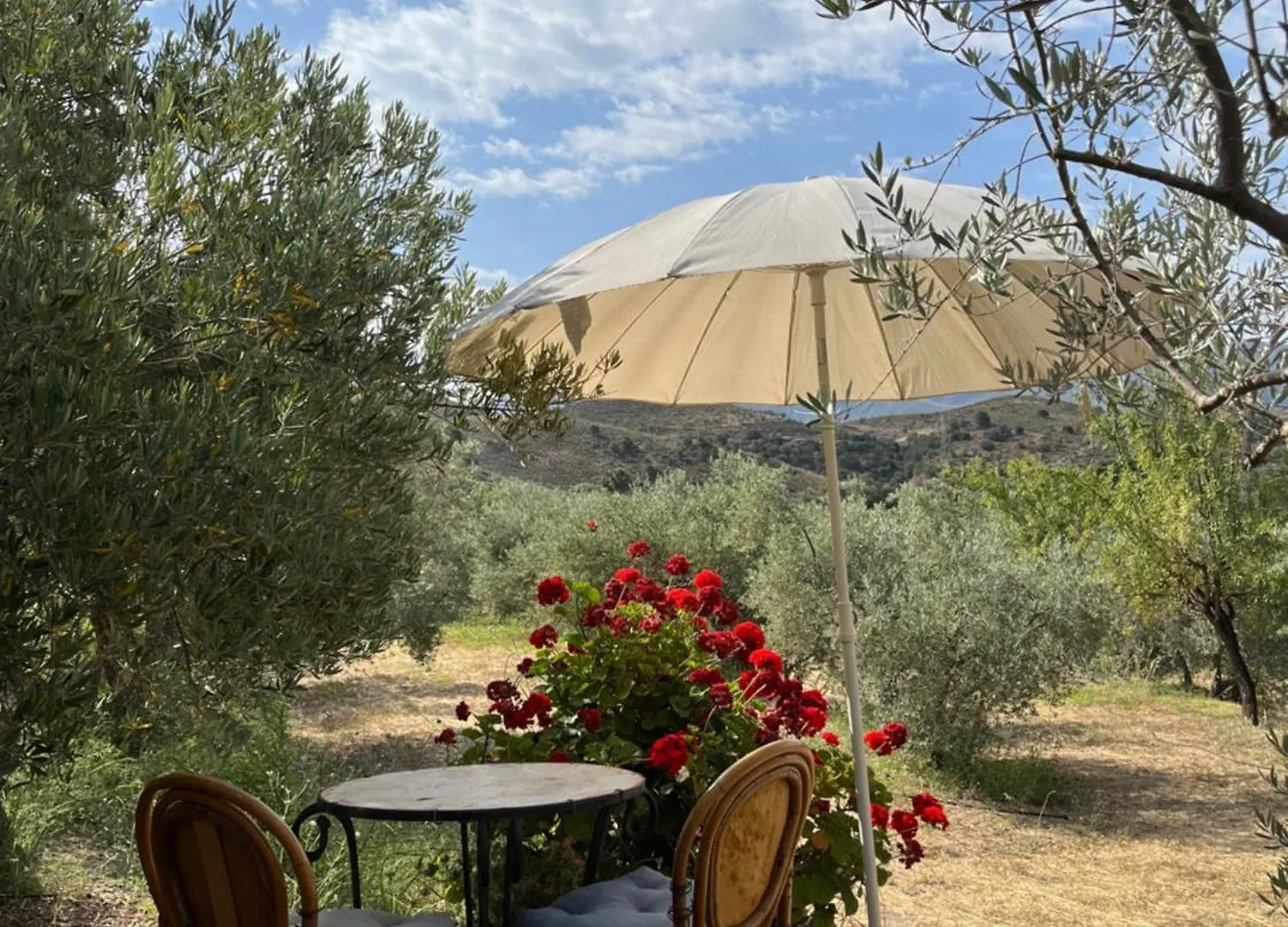 Cortijo Alhijra Small Yurt Lanjaron Luxury tent