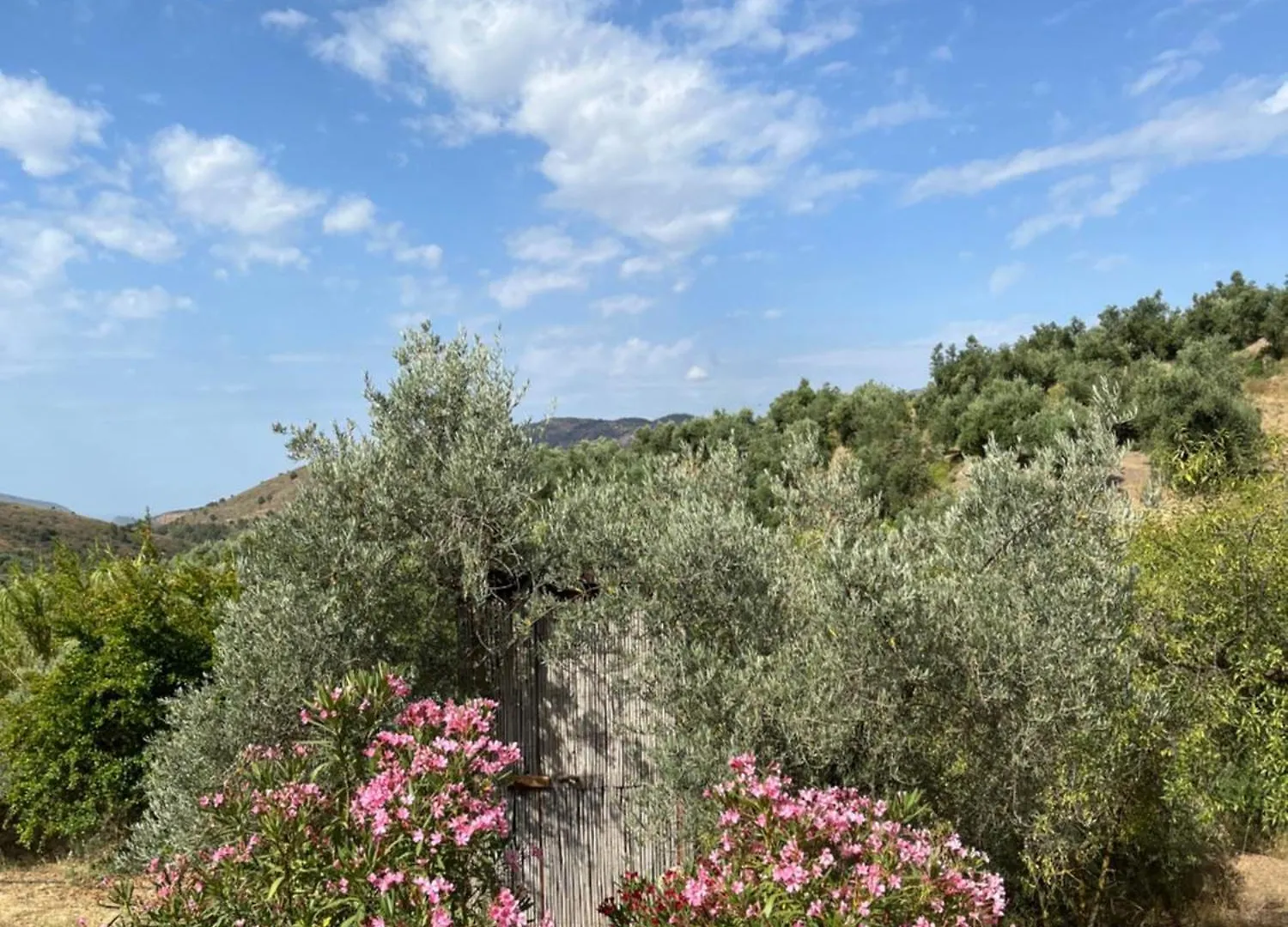 Luxury tent Cortijo Alhijra Small Yurt Lanjaron Spain