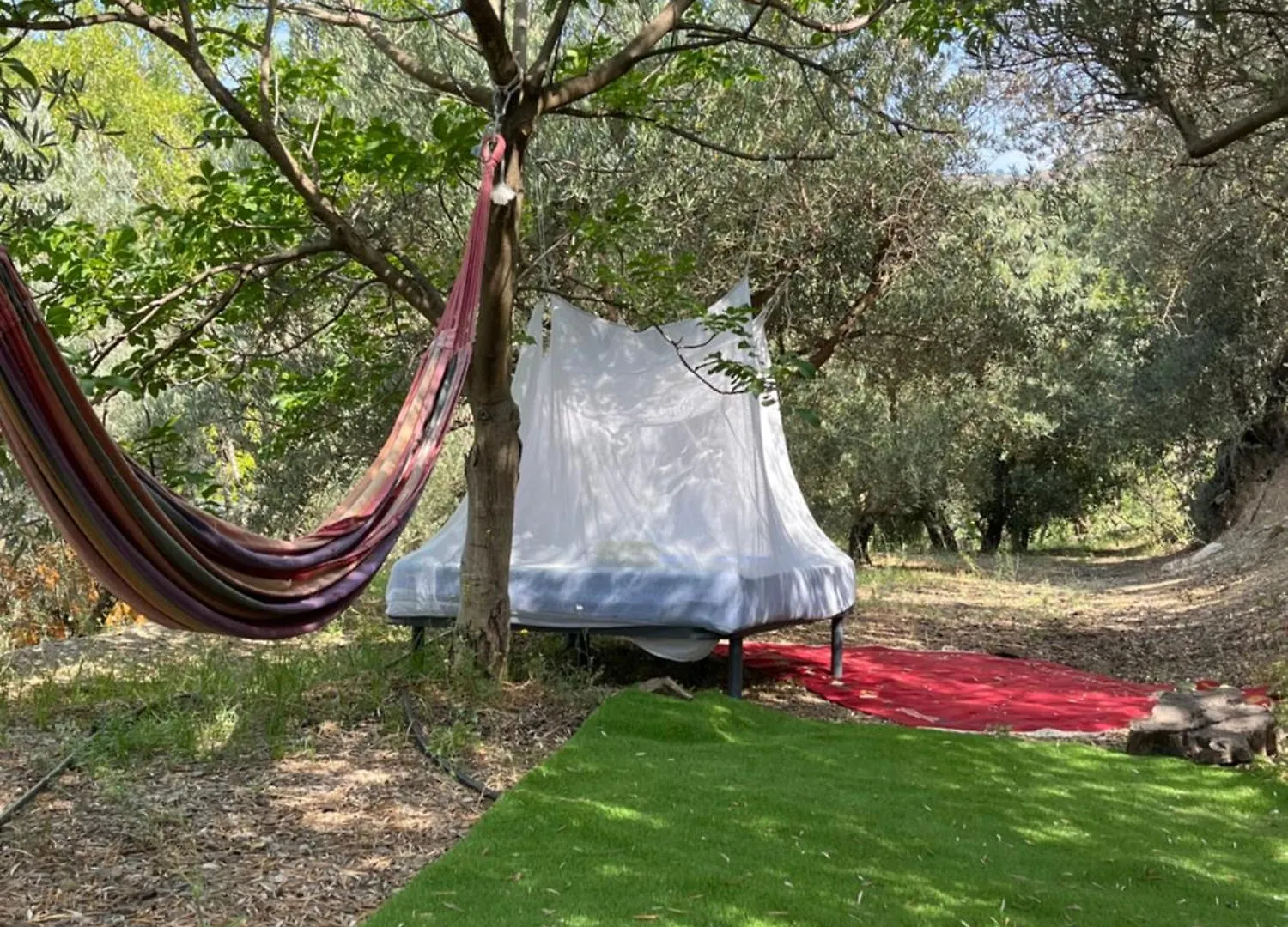 Luxury tent Cortijo Alhijra Small Yurt Lanjaron